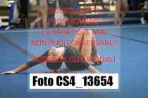 CS4_13654-