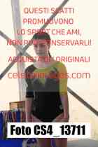 CS4_13711-