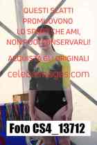 CS4_13712-