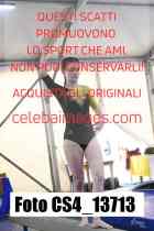CS4_13713-