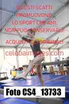 CS4_13733-