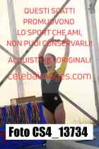 CS4_13734-
