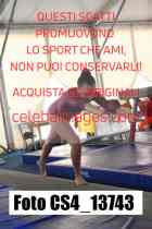 CS4_13743-