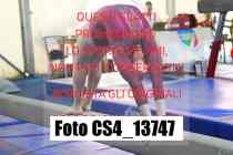 CS4_13747-