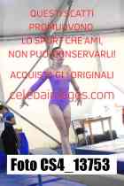 CS4_13753-