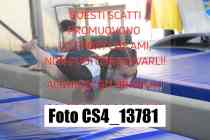 CS4_13781-