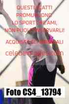 CS4_13794-