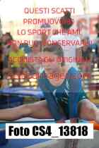 CS4_13818-