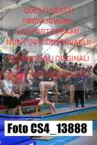 CS4_13888-