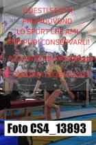 CS4_13893-