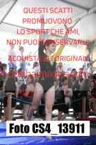 CS4_13911-