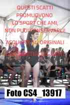 CS4_13917-