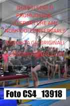CS4_13918-