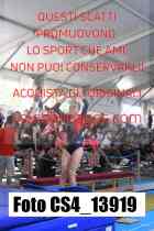 CS4_13919-