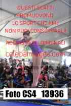 CS4_13936-