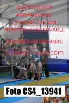 CS4_13941-