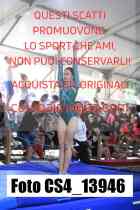 CS4_13946-