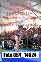 CS4_14024-