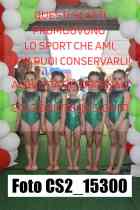 CS2_15300-