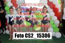 CS2_15306-