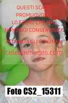 CS2_15311-