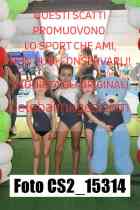 CS2_15314-