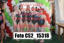 CS2_15318-