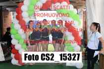 CS2_15327-
