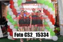 CS2_15334-