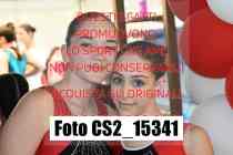 CS2_15341-