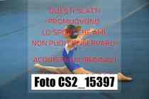 CS2_15397-