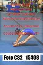 CS2_15408-