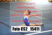 CS2_15411-
