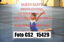 CS2_15429-