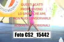 CS2_15442-