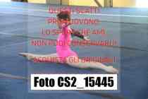 CS2_15445-