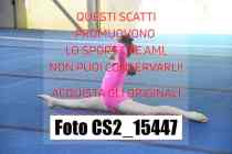 CS2_15447-