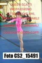 CS2_15491-
