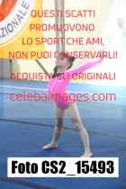 CS2_15493-