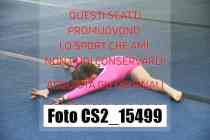 CS2_15499-
