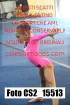 CS2_15513-
