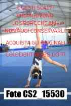 CS2_15530-