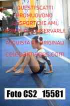 CS2_15581-