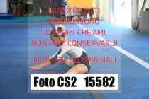 CS2_15582-