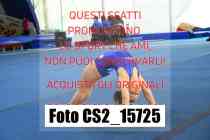 CS2_15725-