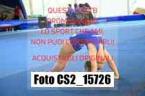CS2_15726-
