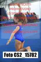 CS2_15782-