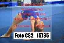CS2_15785-