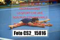 CS2_15816-