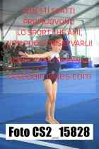 CS2_15828-